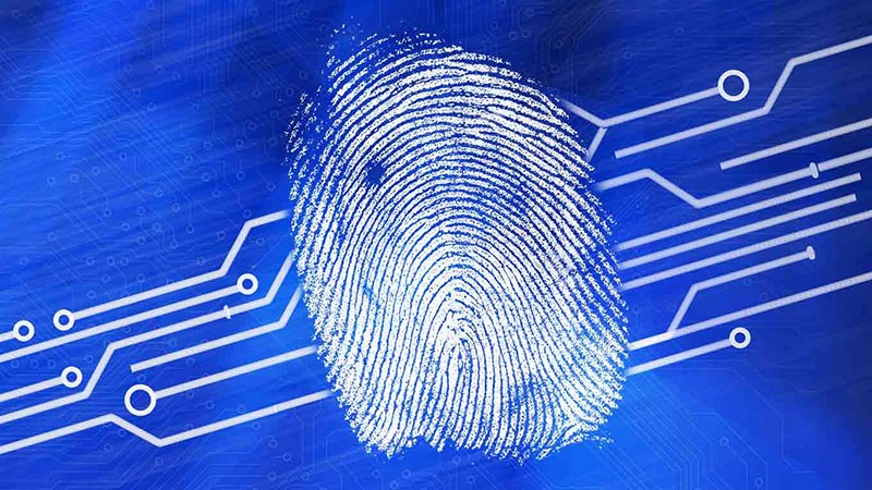 fingerprint with blue background